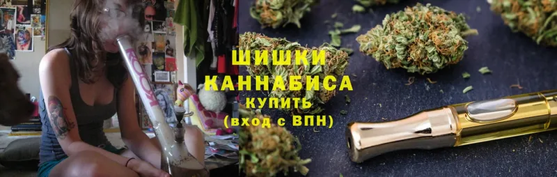 наркотики  Вихоревка  МАРИХУАНА SATIVA & INDICA 